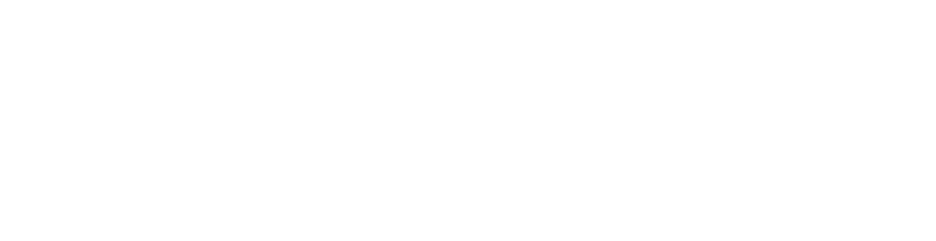 CV Logo 2025