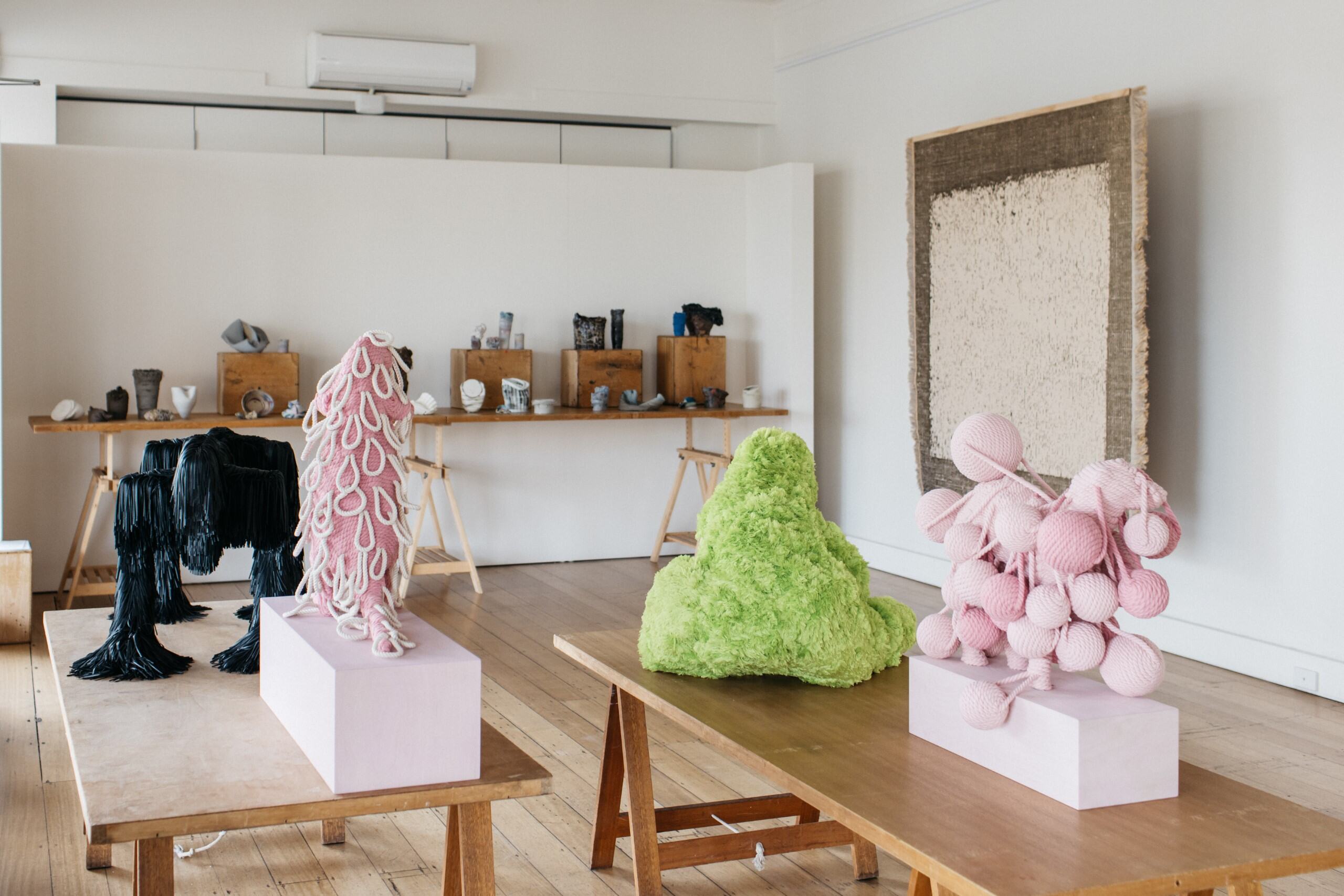 Collapsed Ecologies