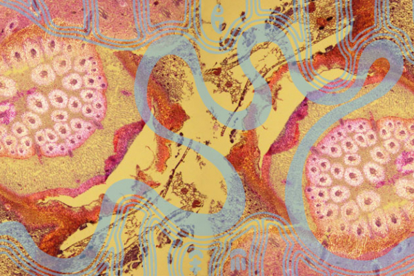 'Welcome to Country – now you see me: seeing the invisible', 2024  Maree Clarke & Mitch Mahoney, woven by Chris Cochius, Amy Cornall, Leonie Bessant, Saffron Gordon, Tim Gresham, Pamela Joyce, David Pearce, Emma Sulzer, wool and cotton, 4.2 x 10m. 